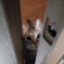 開けていただけませんか？