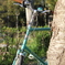 自転車でお花見