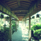 大井神社７