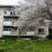 IMAG0040