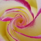 spiral