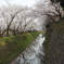 金沢城　お堀