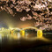 夜桜　金色の錦帯橋