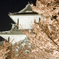 石川門２