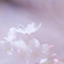 存在感