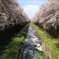 spring collection