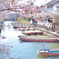 桜咲く柳川