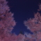 満天の空に