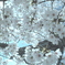 春望5