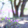 木陰にて