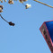 sky