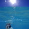 Aquatic blue 1