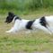 photo_1762368