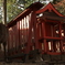奈良公園
