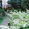 Path