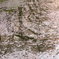 鏡桜
