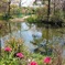 北川村｢モネの庭｣睡蓮の池付近