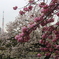 古き良き街、東京