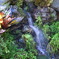 water fallen