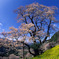 山里の春