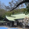 桜の国府宮神社　（１）