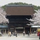 桜の国府宮神社　（８）