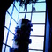 A silhouette in the Blue