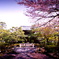 春の建仁寺