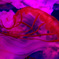 海月Ⅳ
