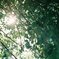 photo_1771881