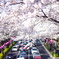 歩道橋から
