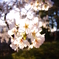 photo_1773377