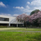 新学期