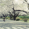 「滑走路」#1