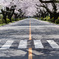「滑走路」#2
