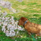 春、木陰のひと時。。。
