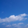 湿地沿いの町