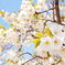 Spring has come!