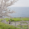 新一年生の寄り道　〜海が見える丘〜