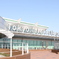 Tokyo International Airport