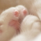 もふもふ♪