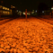 夜の線路