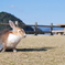 まぶしすぎて