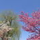 花木の饗宴