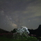 星降る瀧桜