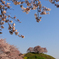 さきたま古墳公園