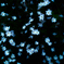 SDIM2640-2