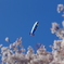 見上げた空