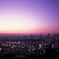 新しい年・新しい都市