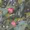 PA0_0144